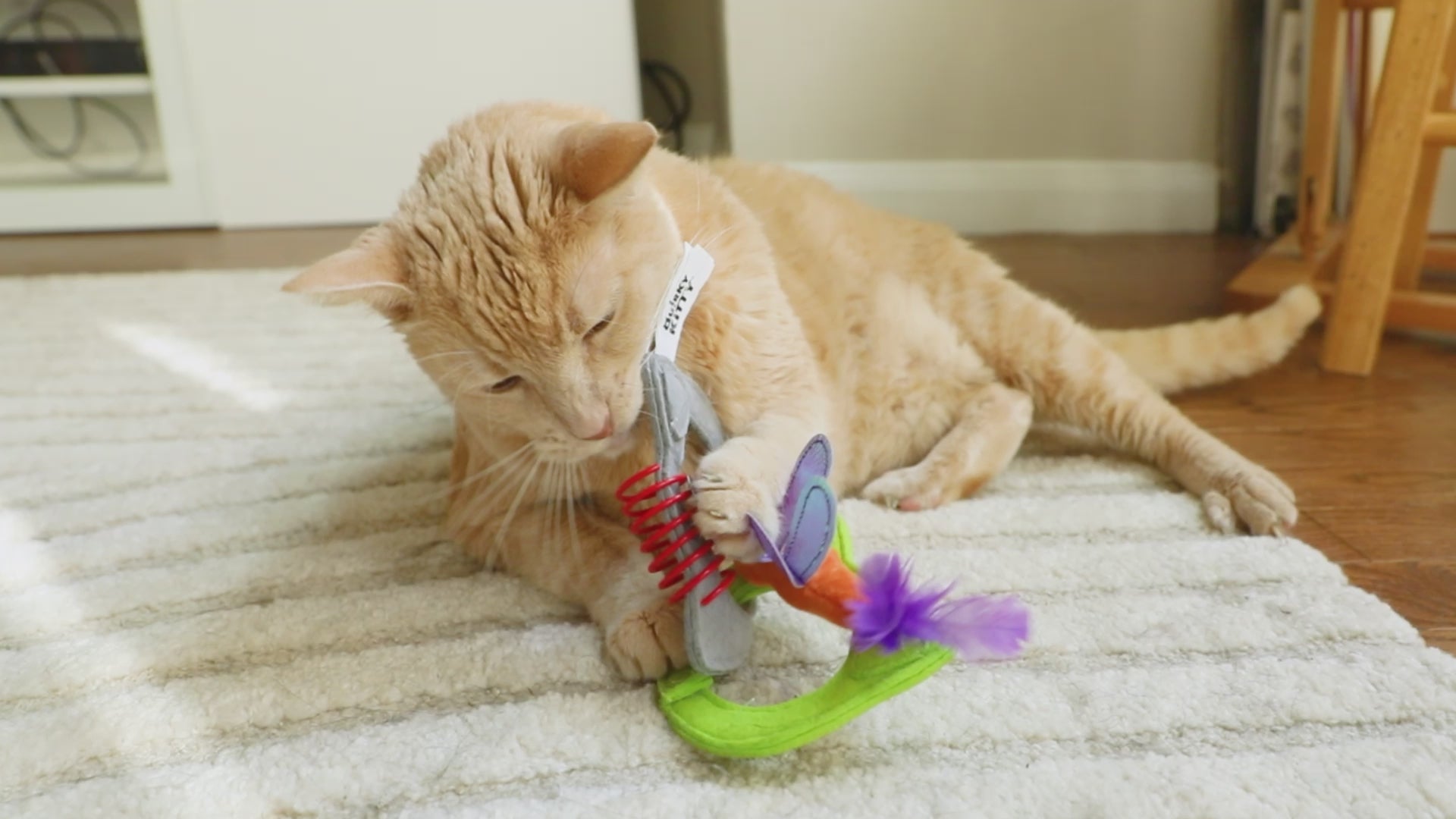 Quirky Kitty Kitty Connects Cat Toy With Plush Dragonfly – Petmate