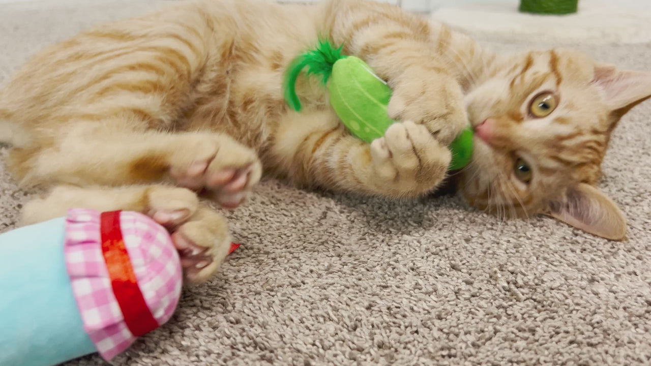 Quirky Kitty® Pickled Mewcumbers Catnip Plush Cat Toy – Petmate