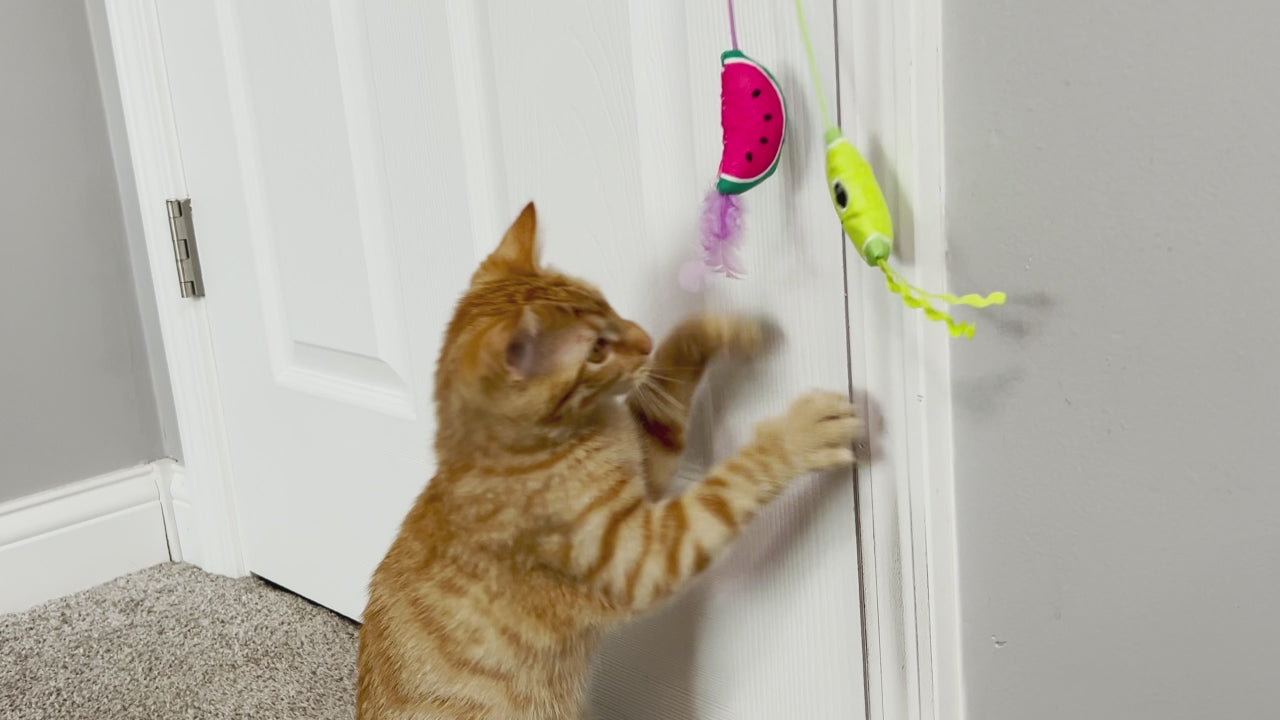 Quirky Kitty Tropical Teaser Doornob Dangler Cat Toy