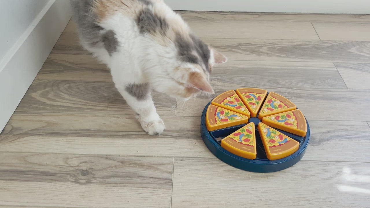 Quirky Kitty Pizza Puzzle Solo Cat Toy – Petmate