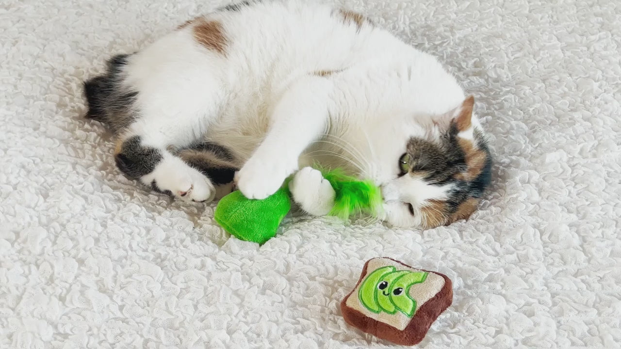 cat_mint25様 Quirky Kitty® Avocado Toast Catnip Plush Cat Toy – Petmate