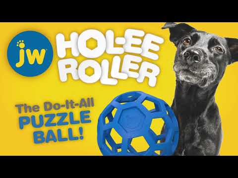 jW® Hol-ee Roller® Treat Dispensing Dog Toy | Petmate