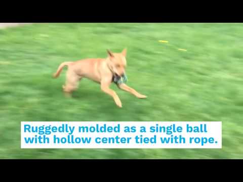 Pet Qwerks Jingle Ball X-Tire Tug N Toss Dog Toy – Petmate