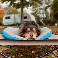 A dog sleeps peacefully on a Chuckit! Travel Pillow Bed outdoors, with a blurred camper and autumn trees in the background. Fallen leaves dot the ground, as the machine washable Chuckit bed cradles the relaxed and content dog.