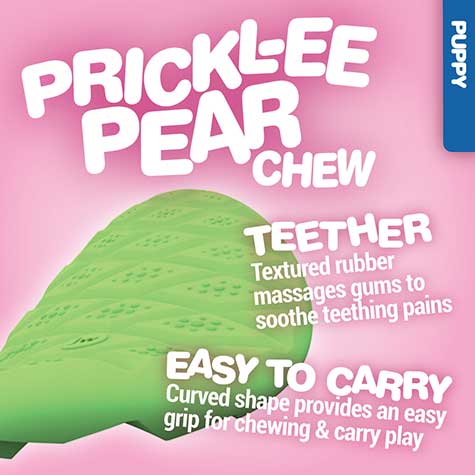 The JW Prickl-ee Pear Puppy Teether Chew Toy from JW, against a pink background, has textured rubber for gum massage and dental health. Its curved shape makes it easy to carry and grip, perfect for teething puppies.