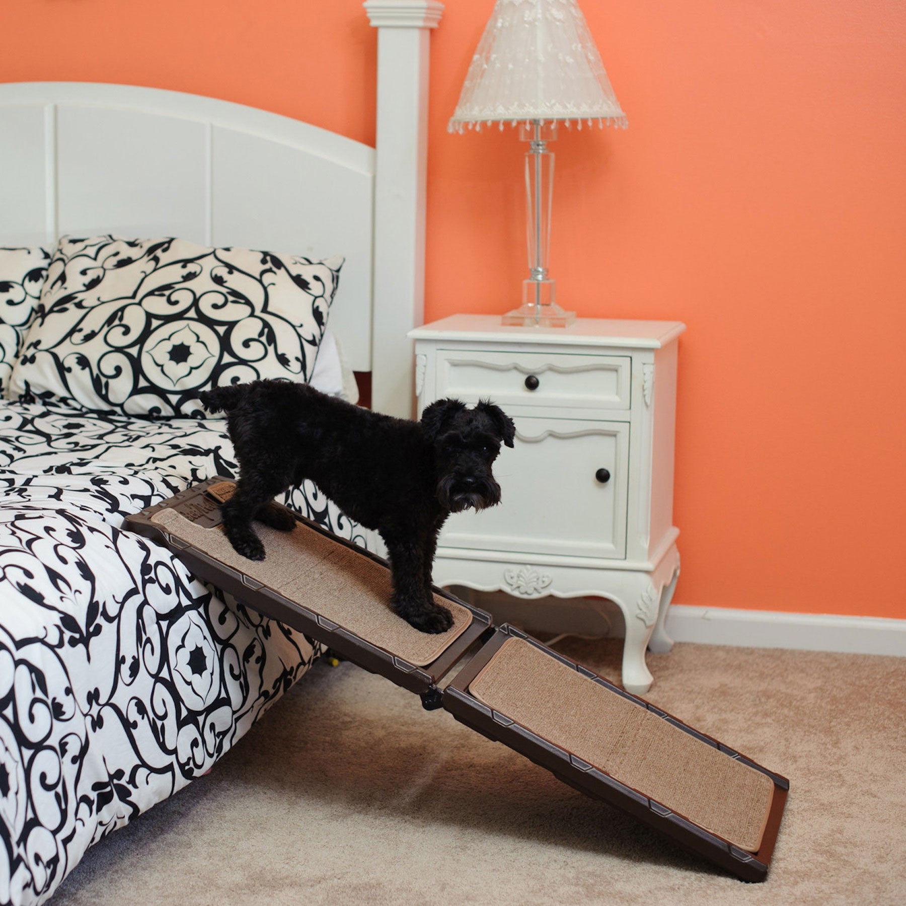 Gen7Pets Indoor Carpet Mini Ramp Petmate
