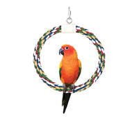 A vibrant parrot with orange, yellow, and green feathers sits on the JW Swing N Perch Bird Toy by Jw, hanging from a hook. The colorful circular perch features intertwined red, green, blue, and beige strands and is machine washable for easy cleaning.