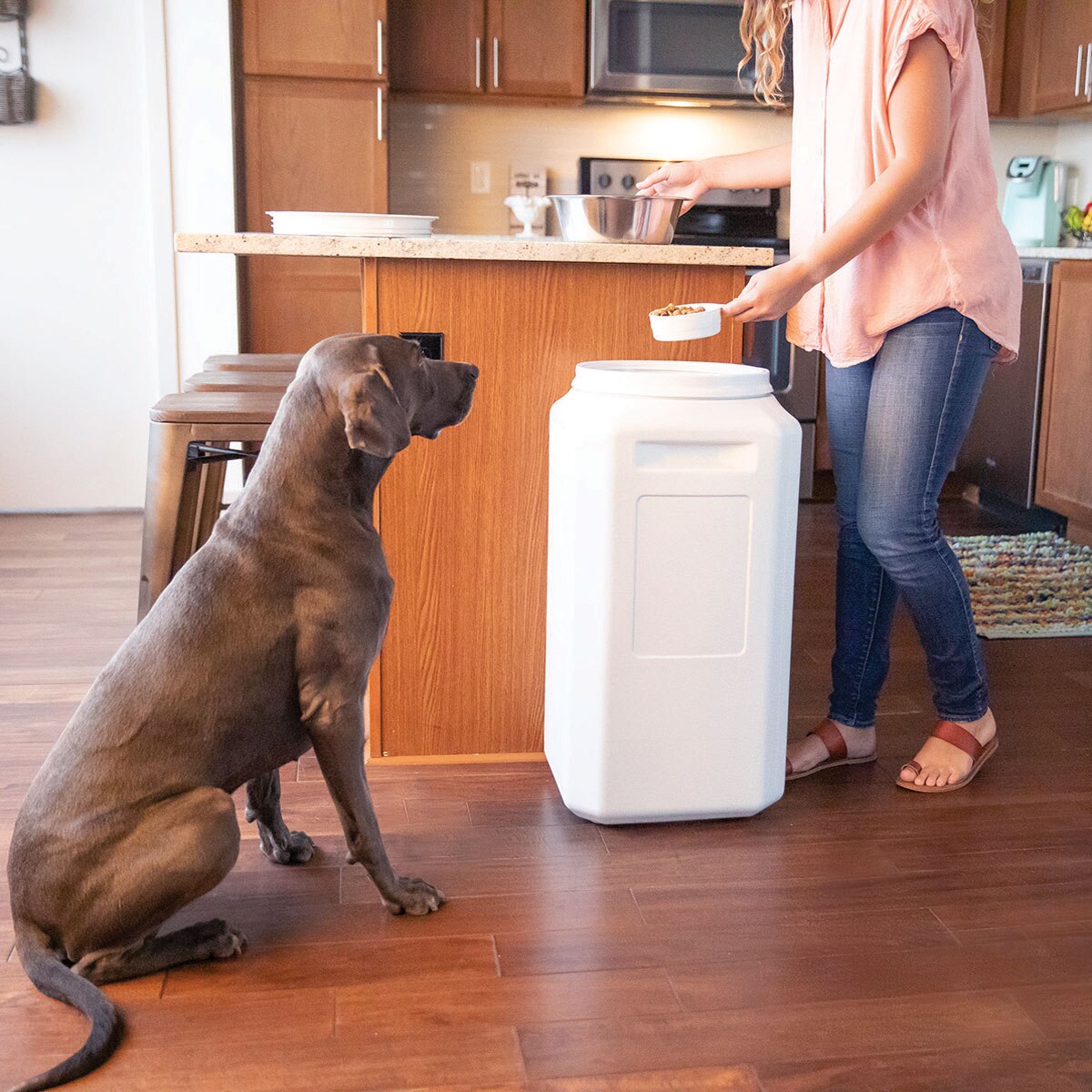 In a modern kitchen, a person in a pink shirt and jeans prepares to feed their large gray dog using the Vittles Vault Outback Food Storage Container, an elegant white container by Vittles Vault with Gamma Seal Technology that keeps food fresh with its airtight seal.