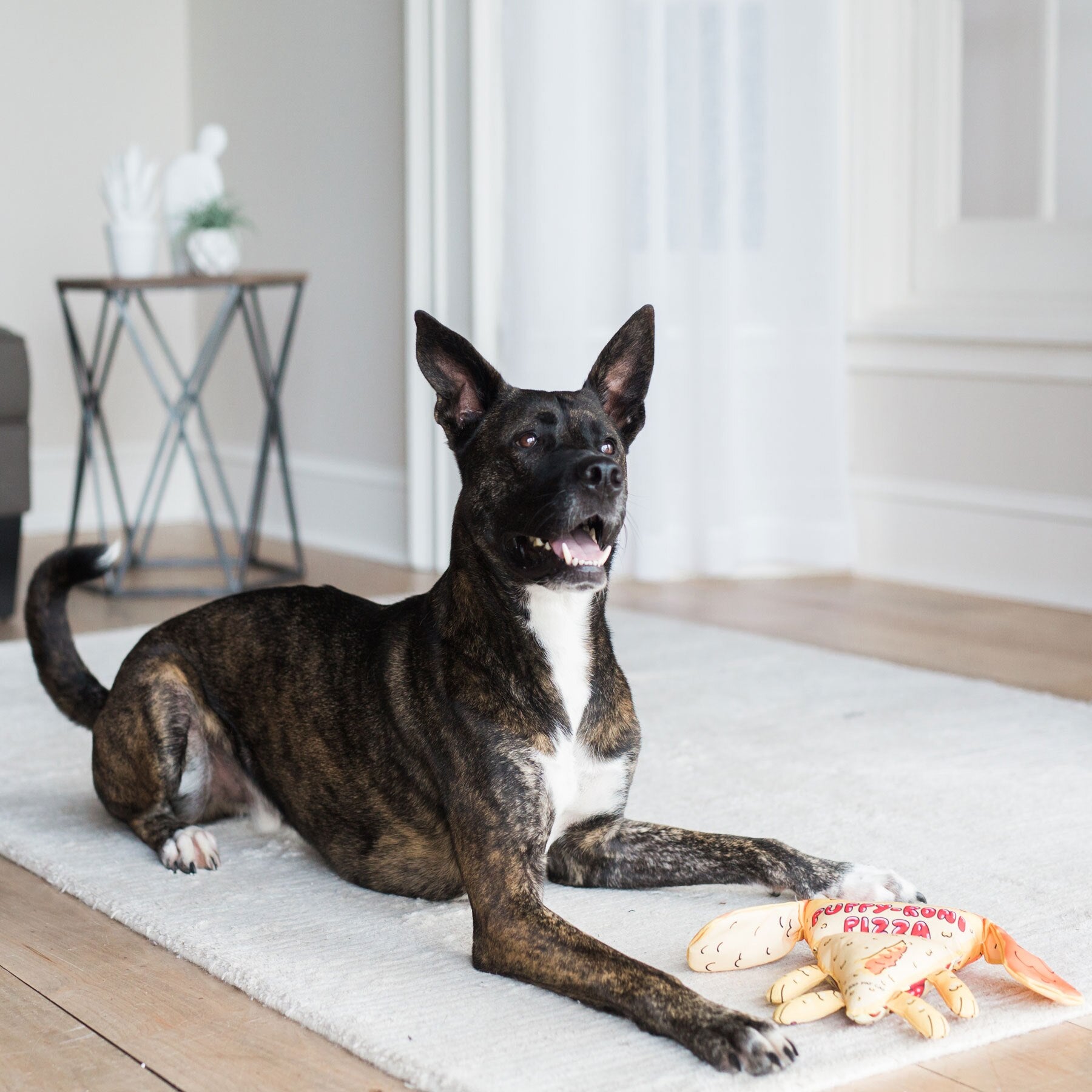 A black and brindle dog with white markings rests on a light rug, gazing upward. In front of the dog is a FAT CAT Foodies Puppy-Roni Dog Toy by Fatcat, shaped like a pizza slice with arms and legs made from durable polyester. A small table and decorative item complete the cozy rooms backdrop.