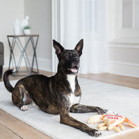 A black and brindle dog with white markings rests on a light rug, gazing upward. In front of the dog is a FAT CAT Foodies Puppy-Roni Dog Toy by Fatcat, shaped like a pizza slice with arms and legs made from durable polyester. A small table and decorative item complete the cozy rooms backdrop.