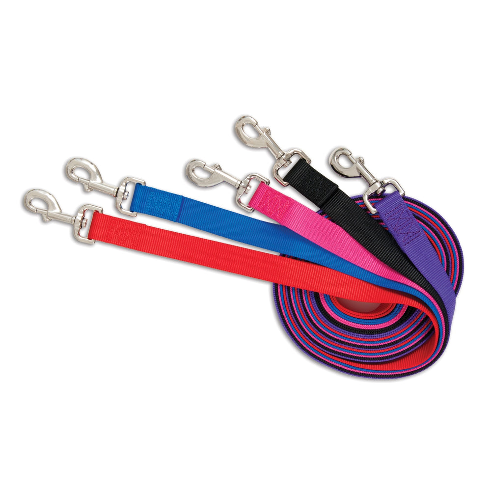 Five nylon Petmate Standard Core Dog Leashes in red, blue, black, pink, and purple are displayed side by side with durable hardware; one end is coiled while clasps on the other end face forward.