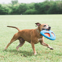 Chuckit! Fetch Flight