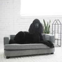 A large black poodle rests elegantly on a La-Z-Boy Bartlett Sofa Dog Bed in a bright room with white brick walls. A tall houseplant and a lantern with a candle enhance the clean, minimalist decor crafted from furniture-grade materials.
