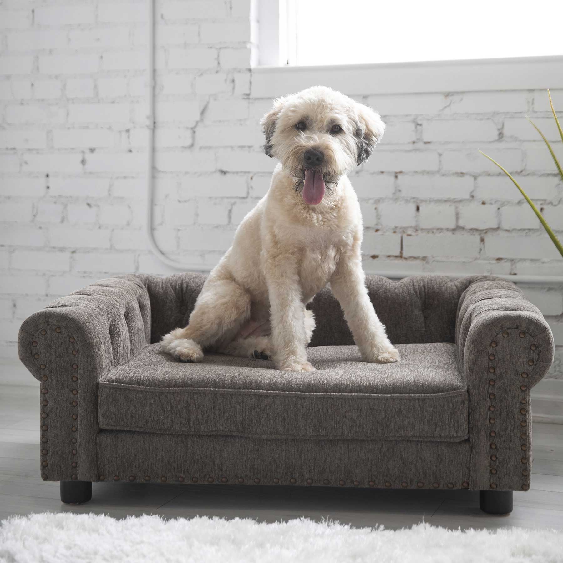 A fluffy white and tan dog contently sits on the La-Z-Boy Newton Sofa Dog Bed against a white brick wall backdrop with a softly lit window. A green plant adds natures touch to the cozy scene.