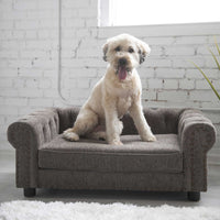 A fluffy white and tan dog contently sits on the La-Z-Boy Newton Sofa Dog Bed against a white brick wall backdrop with a softly lit window. A green plant adds natures touch to the cozy scene.