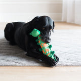 A black dog rests on a gray carpet, gently holding a FAT CAT Water Bottle Crunchers Dog Toy by Fatcat, known for its heavy-duty canvas construction. The green and orange plush toy basks in natural light streaming through the nearby window.