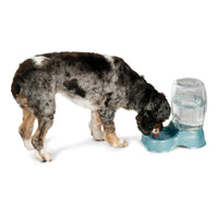 Petmate Pet Cafe Gravity Water Bowl