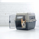 A small brown and white corgi sits inside the Petmate Traveler - Ultra Vari Kennel by Petmate with the door open, looking forward and panting, against a white brick wall and bright floor.