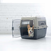 A cheerful corgi sits inside a gray and black Petmate Ultra Vari Kennel on a white floor. The kennel has a metal grid door and is set against a softly lit white brick wall, meeting all airline pet travel requirements.