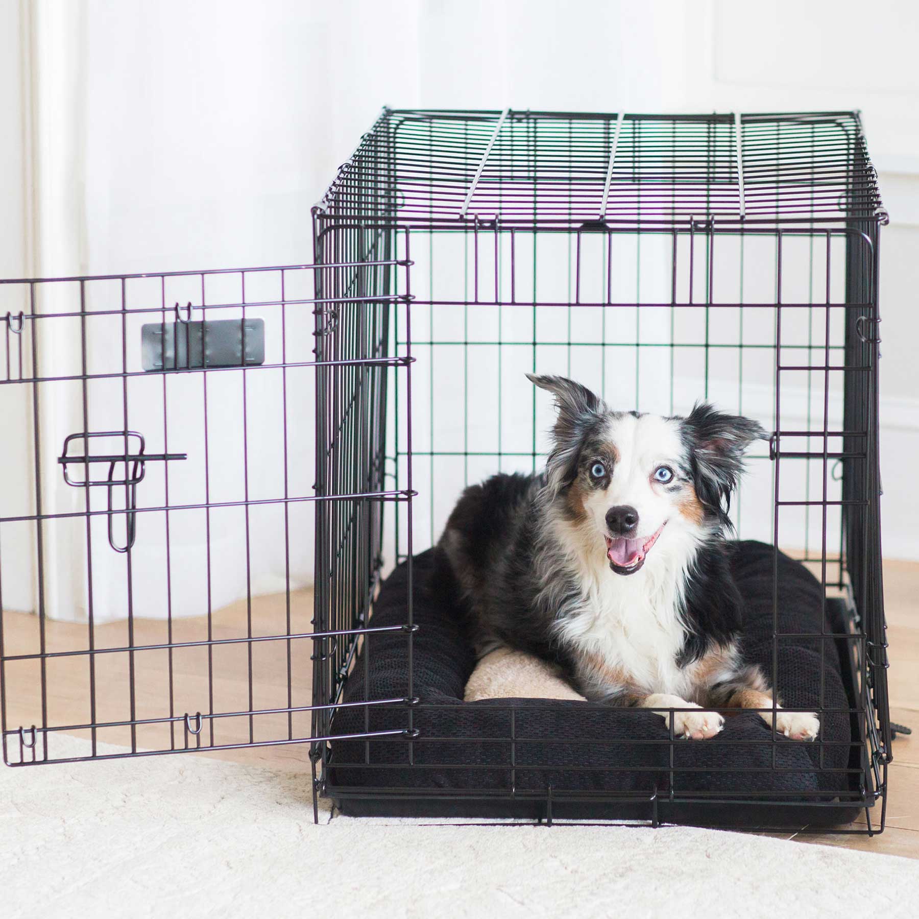 A small dog with black, white, and gray fur and blue eyes sits inside a wire kennel with an open door. Nestled on a Snoozzy Chenille Low Bumper Kennel Mat - Black, the dog gazes at the camera with its mouth slightly open. The setting is indoors.