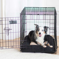 A small dog with black, white, and gray fur and blue eyes sits inside a wire kennel with an open door. Nestled on a Snoozzy Chenille Low Bumper Kennel Mat - Black, the dog gazes at the camera with its mouth slightly open. The setting is indoors.