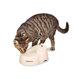 A tabby cat, prioritizing pet health, drinks from a Petmate Deluxe Fresh Flow Fountain For Cats. Its head is lowered towards the filtered water, set against a plain white background.