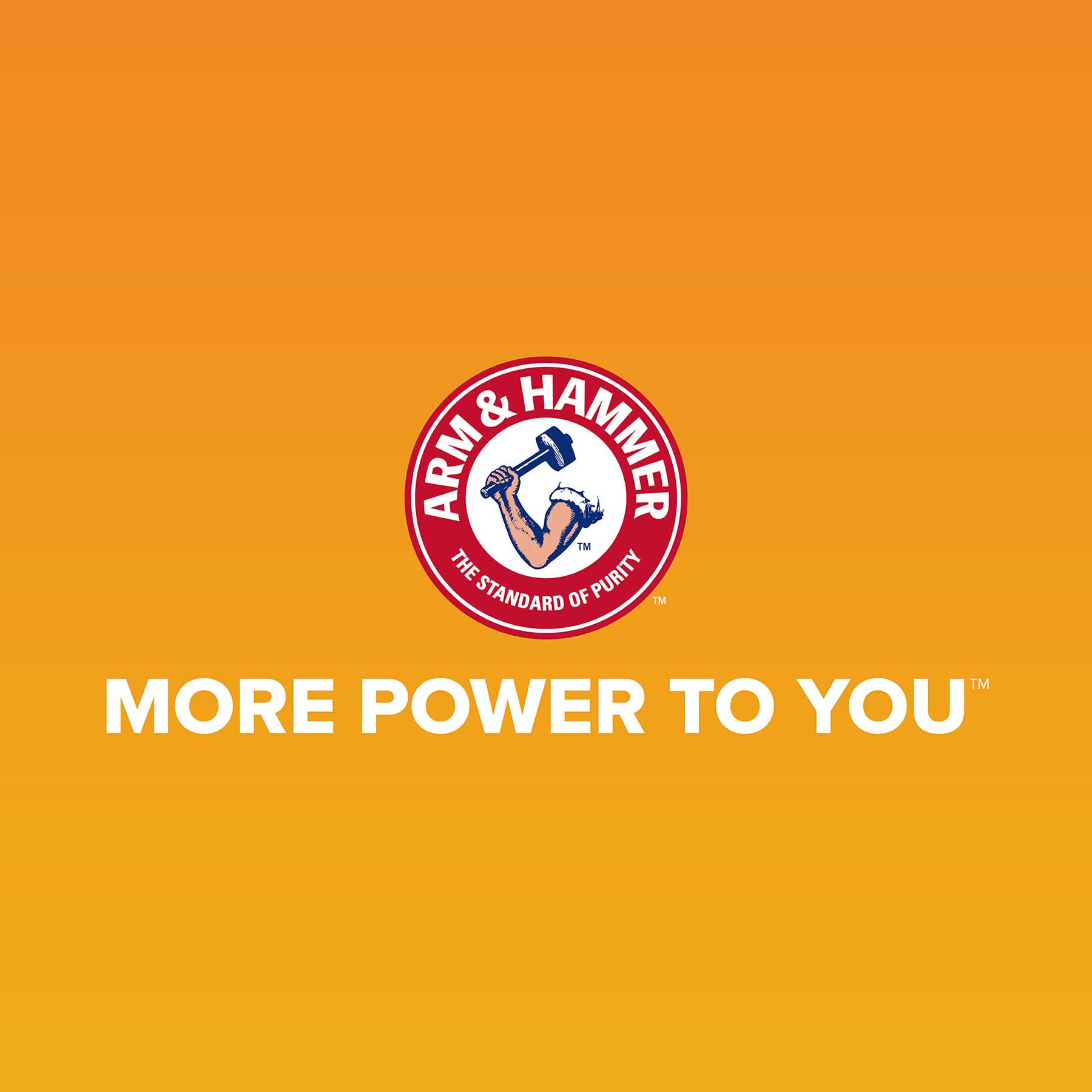 The Arm & Hammer logo, showcasing a strong arm with a hammer on an orange background, signifies power. The slogan MORE POWER TO YOU is in bold white letters. Complete chores with the Arm & Hammer Bone Dispenser & Disposable Waste Bag Set offering superior odor control and convenience.