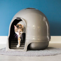 Petmate Booda Cleanstep Litter Dome for Cats