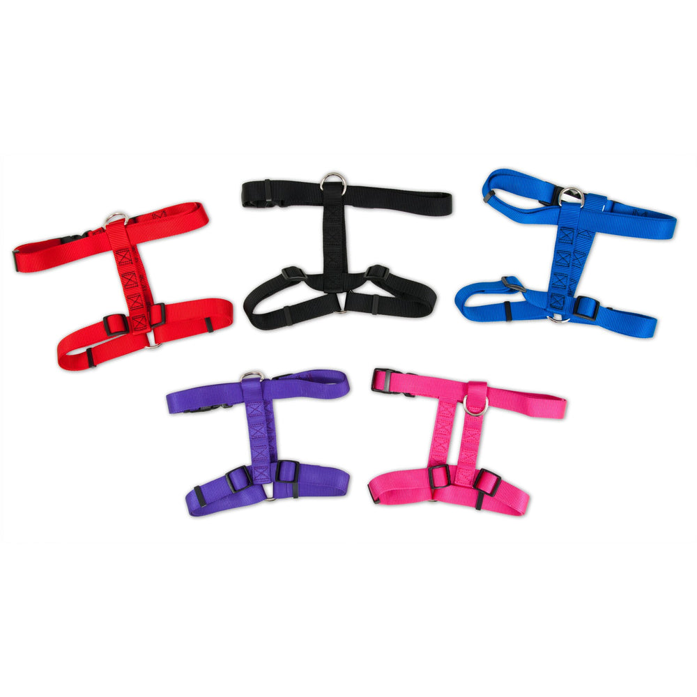 Five Petmate Adjustable Dog Harnesses in red, black, blue, purple, and pink displayed on a white background. Made from fray-resistant nylon, each harness features an adjustable strap and a sturdy metal ring for secure pet outings.
