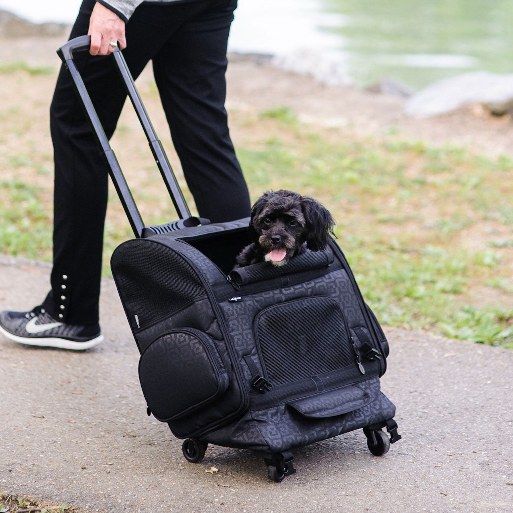 A person strolls along a path, pulling a sleek Gen7Pets Black Geometric Roller-Carrier. A small black dog peeks out from the carrier with its tongue playfully out, set against lush grass and a shimmering body of water.