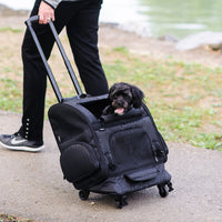 A person strolls along a path, pulling a sleek Gen7Pets Black Geometric Roller-Carrier. A small black dog peeks out from the carrier with its tongue playfully out, set against lush grass and a shimmering body of water.