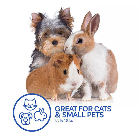 A small dog, rabbit, and guinea pig sit on a white background. Text reads: Petmate E-Z Load Top Load Cat Kennel—great for cats & small pets up to 10 lbs with 360° ventilation for travel stress relief. Petmate logo beside cat, dog, and rabbit icons.