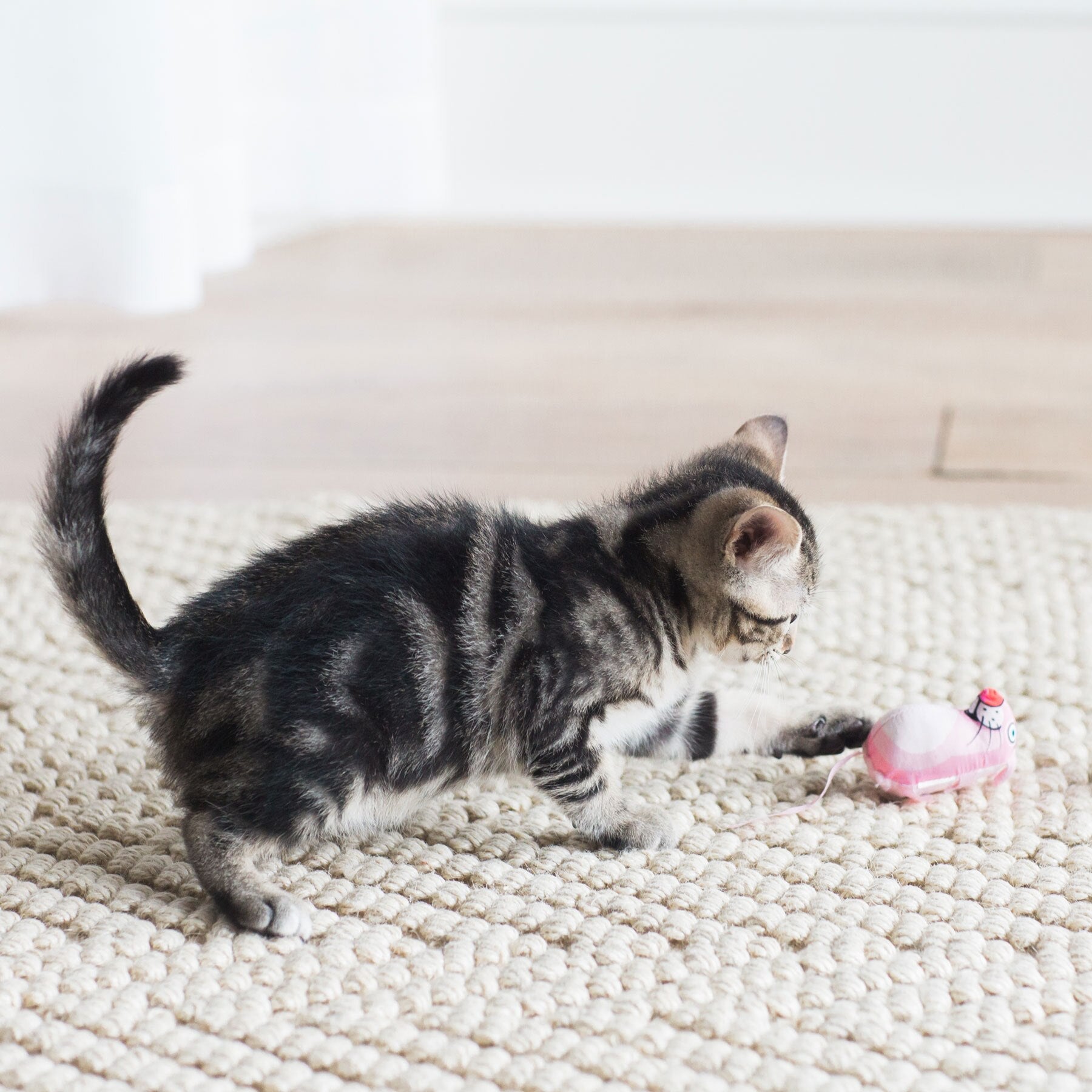 A small tabby kitten, high on organic catnip, plays with a pink FAT CAT Classic Eeeks! Cat Toy from Fatcat on a light-colored woven rug. Crouched and focused, the kitten enjoys while the backdrop reveals a wooden floor and white wall.