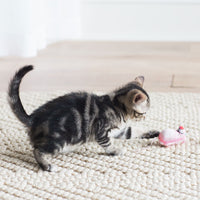 A small tabby kitten, high on organic catnip, plays with a pink FAT CAT Classic Eeeks! Cat Toy from Fatcat on a light-colored woven rug. Crouched and focused, the kitten enjoys while the backdrop reveals a wooden floor and white wall.
