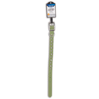 The Petmate Lil Spikes Leather Custom Fit Collar, a stylish green leather accessory with metal buckle and shiny studs from Petmate, is perfect for large dogs. It adjusts from 18 to 24 inches and stands out beautifully against a white backdrop.