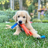 A golden retriever puppy playfully chews on durable rubber strips from a Chuckit Air Bumper Dog Toy, surrounded by a garden of blurred greenery and trees, hinting at future fetch games in this delightful setting.