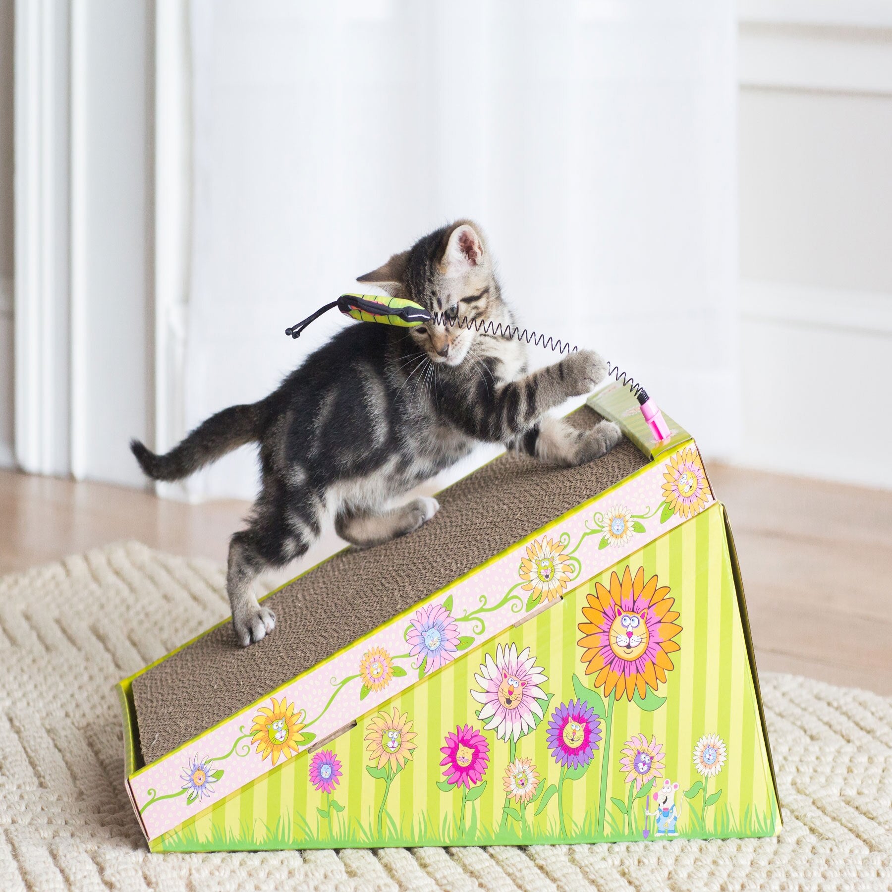 A small kitten plays with a string attached to Fatcats eco-friendly recyclable Scratch N Play Ramp, featuring vibrant floral and grass patterns. Its front paws eagerly rest on the ramp as a cozy carpet beneath offers hours of playful delight.