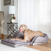 A brown dog relaxes on a La-Z-Boy Duchess Fold Out Sleeper Sofa Dog Bed in a bright living room with a lamp on a decorative side table, an armchair with iClean fabric, and sheer white curtains over the window.