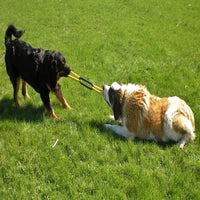 Two dogs play tug-of-war with a JW Invincible Chains Dog Toy by Jw on a grassy field; the black and tan dog stands with its tail up, while the larger white and brown dog lies down, both fully engrossed in their playful battle.