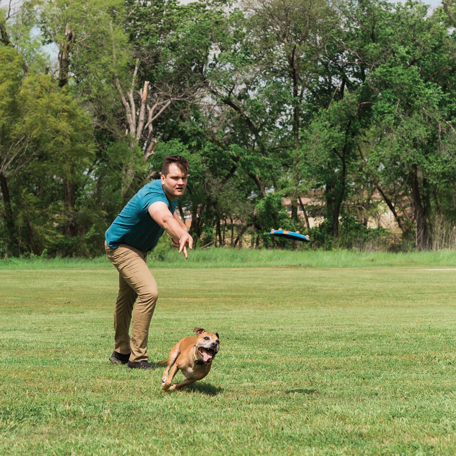 A man in a teal shirt and khaki pants tosses a Chuckit! Whistle Flight Dog Fetch Toy in a grassy field, as a brown and white dog joyfully fetches it. Lush green trees line the background under a clear sky.