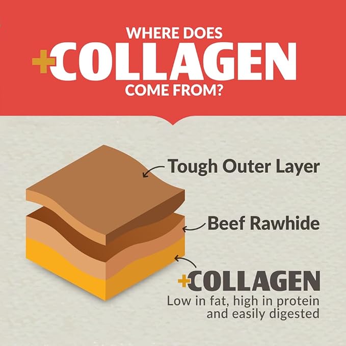 Diagram showing collagen’s origin from beef rawhide with labeled layers: Tough Outer Layer, Beef Rawhide, and +Collagen—low in fat, high in protein, and easily digested. See how Wild Eats Salmon Flavored Collagen Retriever Adult Rolls are made!.