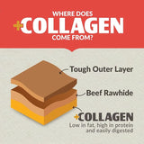 Infographic showing collagen’s source: a diagram of layered brown blocks labeled Tough Outer Layer, Beef Rawhide, and +Collagen—just like in Wild Eats Salmon Flavor Collagen Long Lasting Dog Chew Sticks, which are low in fat, high in protein, and easily digested.