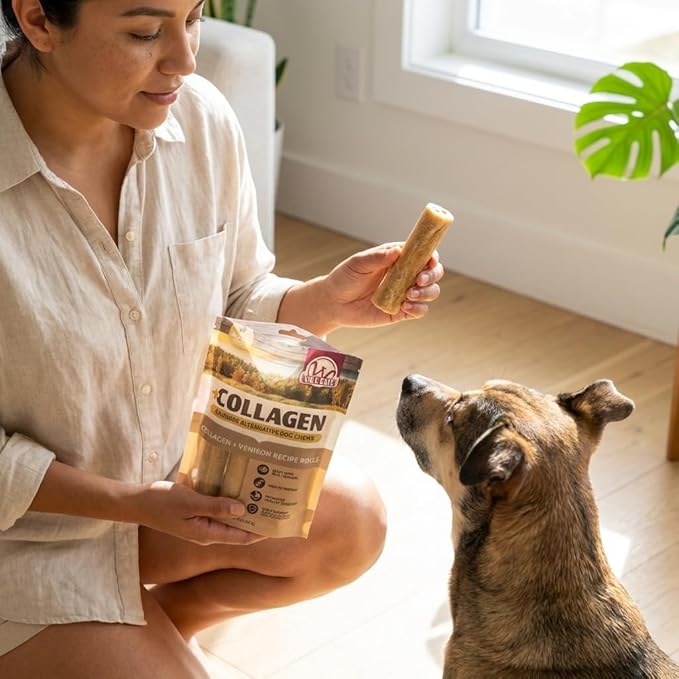 A woman in casual clothes kneels indoors holding a Wild Eats Venison Flavor Collagen 5" Retriever Style Cheek Rolls (4-Pack) as a brown and white dog sits attentively. Sunlight streams through a nearby window.